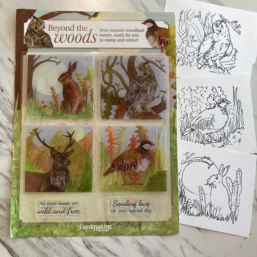 Cardmaking and Papercraft Beyond the Woods Stamps